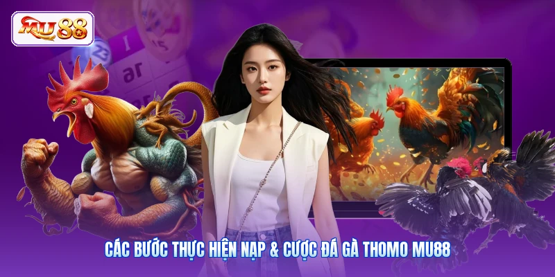 Các bước thực hiện nạp & cược đá gà Thomo MU88