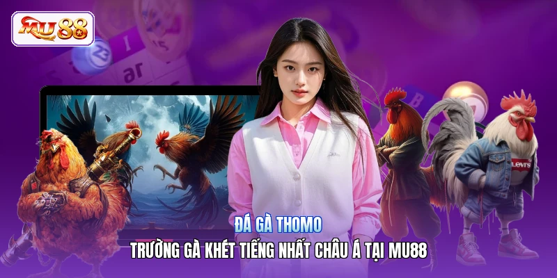Đá Gà Thomo | Trường Gà Khét Tiếng Nhất Châu Á Tại MU88