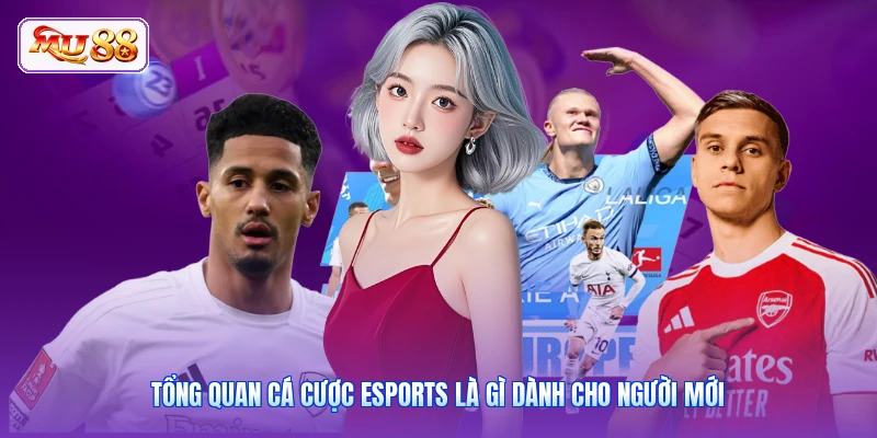 Esports Là Gì | Giải Mã Sức Hút Của Thể Thao Điện Tử Số 1 Tổng quan cá cược Esports là gì dành cho người mới